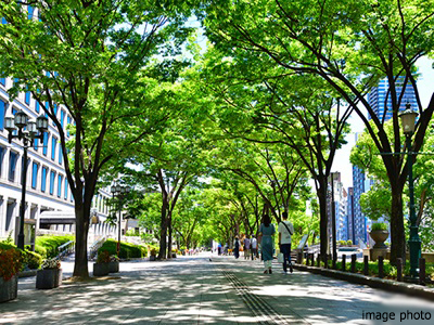 中之島公園｜クラッシィタワー淀屋橋